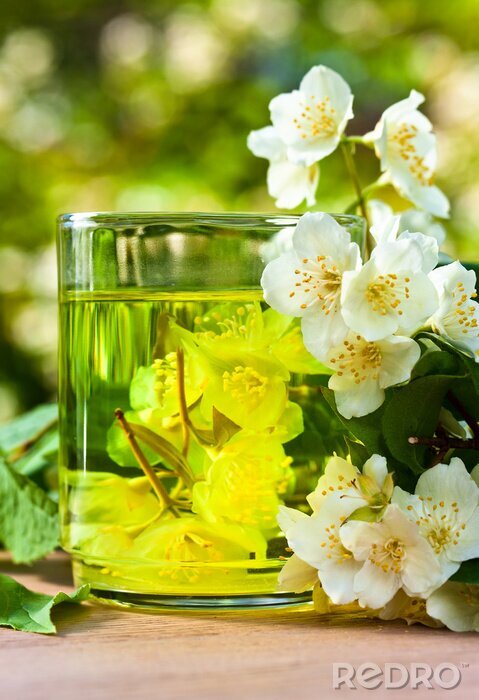 Fotobehang Jasmijnthee