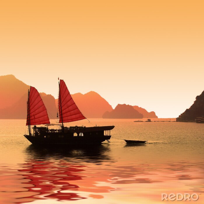 Fotobehang Jonque dans la baie d'Halong - Vietnam
