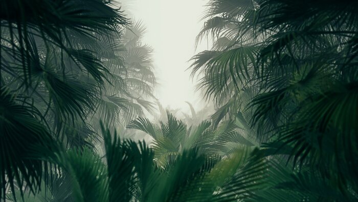 Fotobehang Jungle 3D bladeren