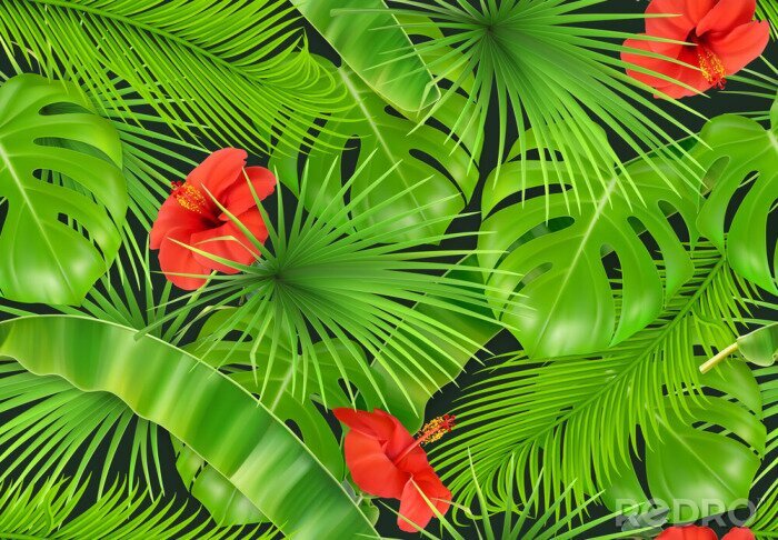 Fotobehang Jungle bladeren en bloemen op de achtergrond