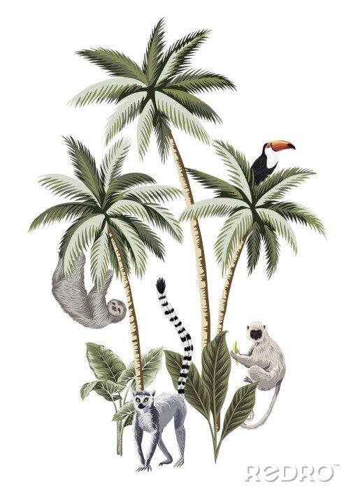 Fotobehang Jungle dieren geïsoleerd op een witte achtergrond