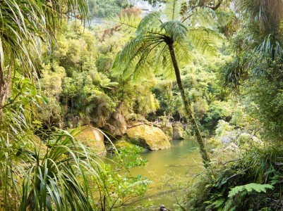 Fotobehang Jungle in retro stijl