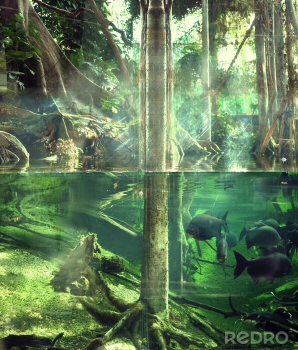 Fotobehang Jungle onder water
