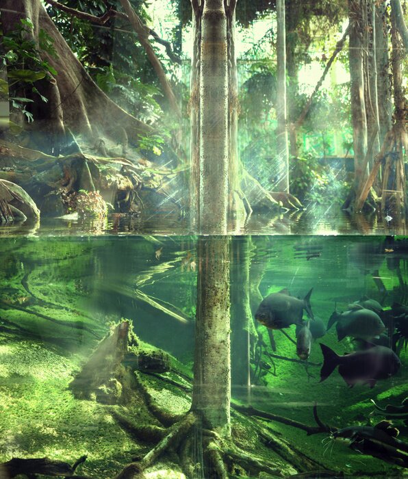 Fotobehang Jungle onder water