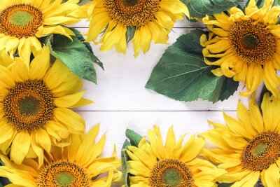 Fotobehang Kader met gele zonnebloemen