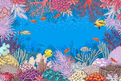 Kader van koraalrif in de oceaan