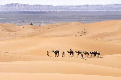Fotobehang Kamelen in de woestijnduinen