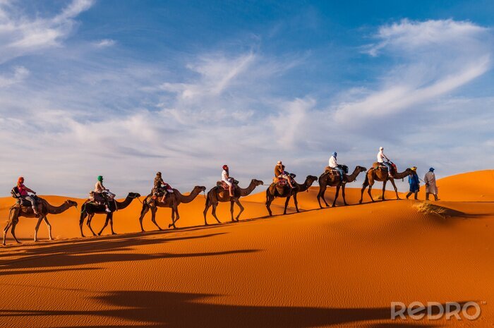 Fotobehang Karavaan in de woestijn