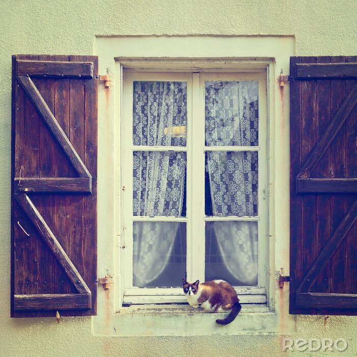 Fotobehang Kat op het venster