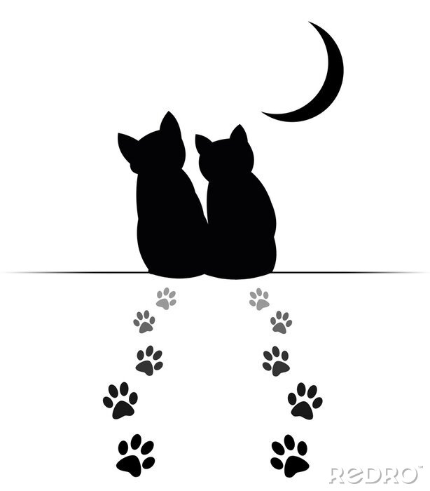 Fotobehang Katten kijken naar de maan