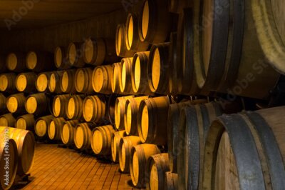 Fotobehang Kelder met houten vaten