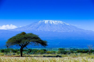 Fotobehang Kilimanjaro landschap