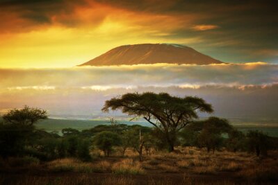 Fotobehang Kilimanjaro. Savanna in Amboseli, Kenia