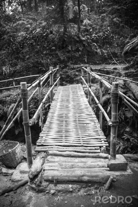 Fotobehang Klein zwart-wit bruggetje in het bos