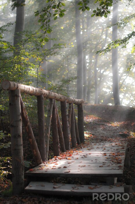 Fotobehang Kleine brug in een bos