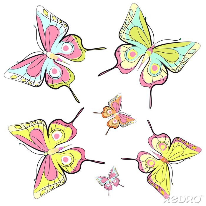 Fotobehang Kleine en grote kleurrijke vlinders