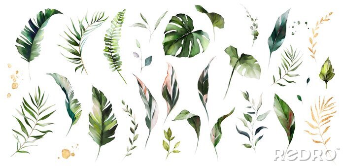 Fotobehang Kleine tropische planten en bladeren