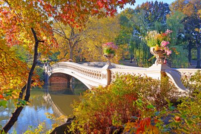 Kleuren van de herfst - fall gebladerte in Central Park, Manhattan, New York