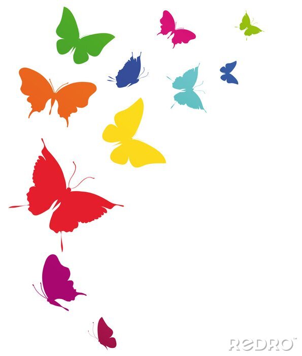 Fotobehang Kleurrijk groep vlinders