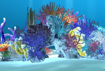 Fotobehang Kleurrijk koraalrif