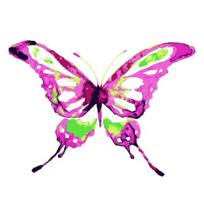 Fotobehang Kleurrijk vlinderpatroon