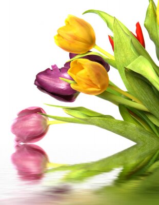 Fotobehang Kleurrijke bloemen met een weerspiegeling