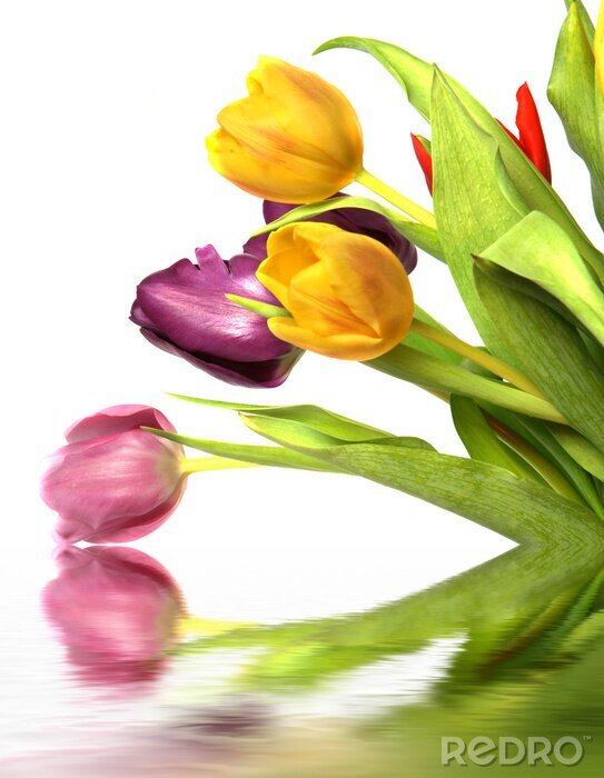 Fotobehang Kleurrijke bloemen met een weerspiegeling