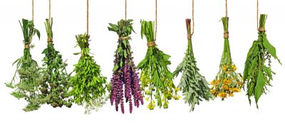 Fotobehang Kleurrijke boeketten van verse kruiden op een witte achtergrond