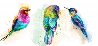 Fotobehang Kleurrijke exotische vogels geschilderd in aquarel