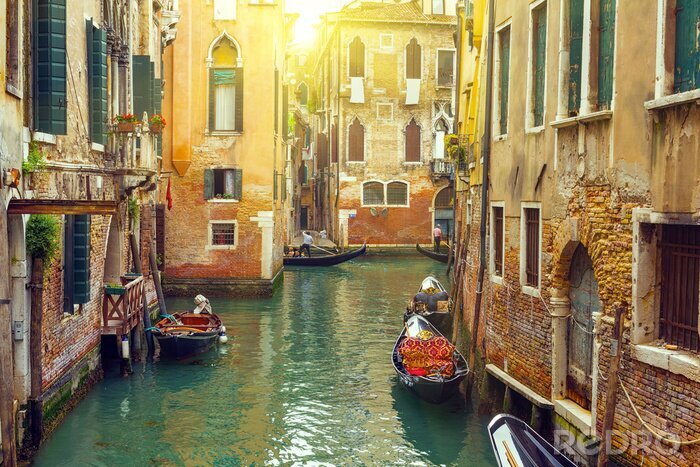 Fotobehang Kleurrijke huizen en gondels in Venetië