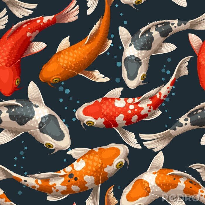 Fotobehang Kleurrijke koikarpers