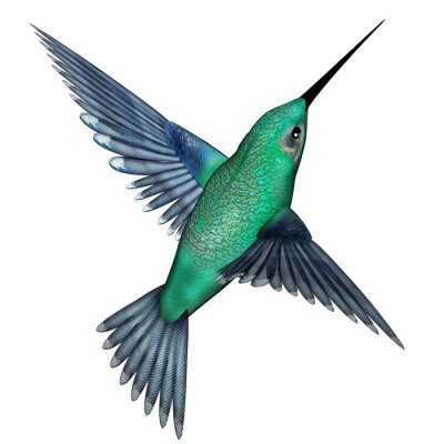 Fotobehang Kleurrijke kolibrie op een lichte achtergrond