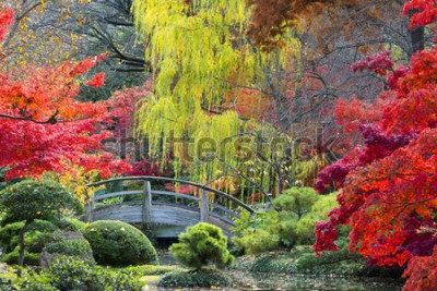 Fotobehang Kleurrijke natuur en brug