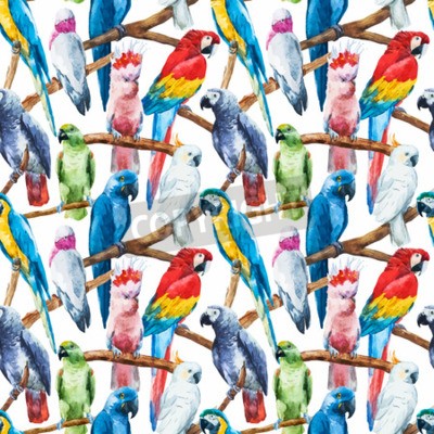Fotobehang Kleurrijke papegaaien als natuur