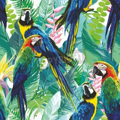 Fotobehang Kleurrijke papegaaien en exotische natuur