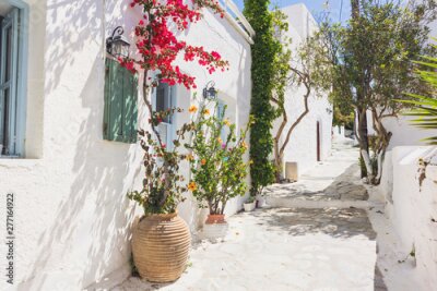 Fotobehang Kleurrijke planten op een Griekse straat