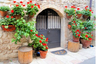 Kleurrijke rode bloemen voering een middeleeuwse stenen muur in Italië
