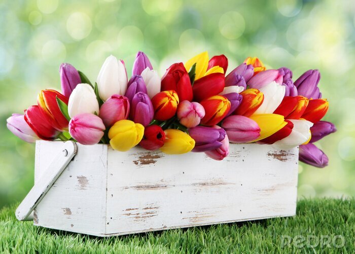Fotobehang Kleurrijke tulpen in een houten doos