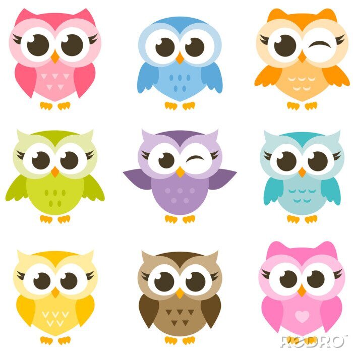 Fotobehang Kleurrijke uilen met grote ogen