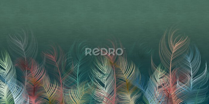 Fotobehang Kleurrijke veren op een groene achtergrond