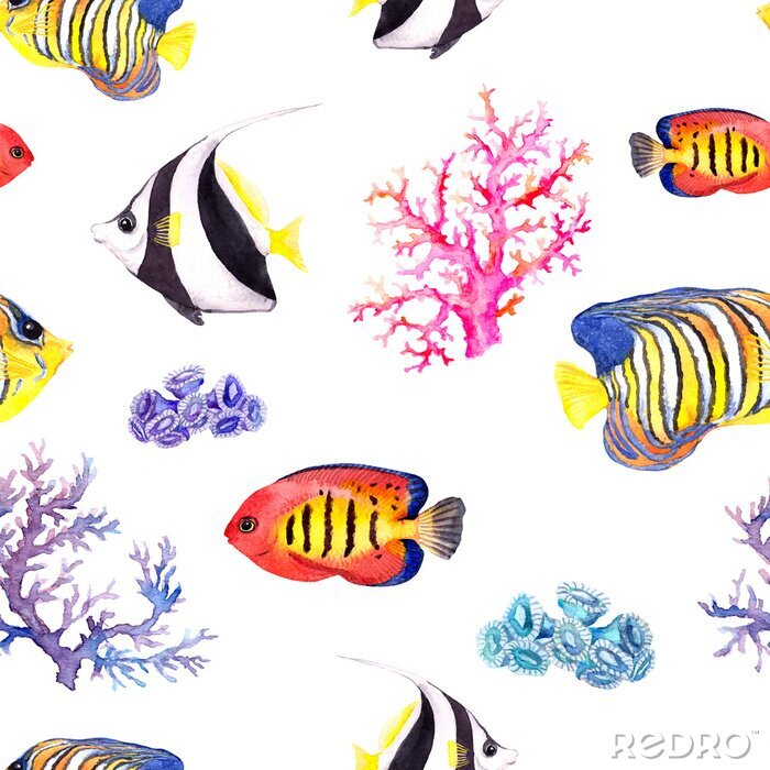 Fotobehang Kleurrijke vissen en koraalrif op witte achtergrond