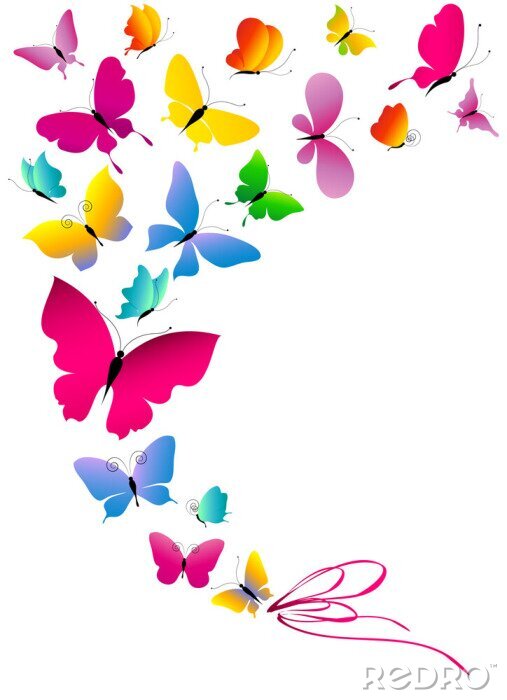 Fotobehang Kleurrijke vliegende vlinders