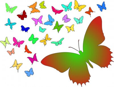 Fotobehang Kleurrijke vlinders op een lichte achtergrond