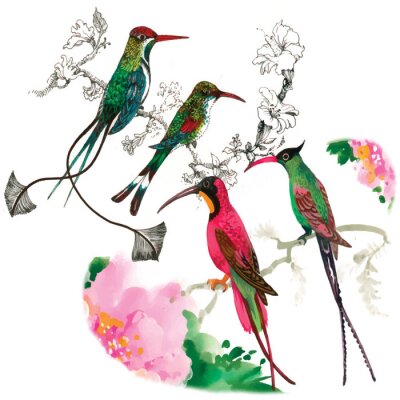 Fotobehang Kleurrijke vogels in bloemenstijl