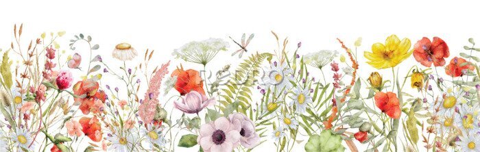 Fotobehang Kleurrijke wilde bloemen op een witte achtergrond