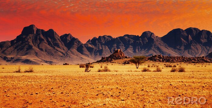 Fotobehang Kleurrijke zonsondergang in Namib Desert, Namibië.