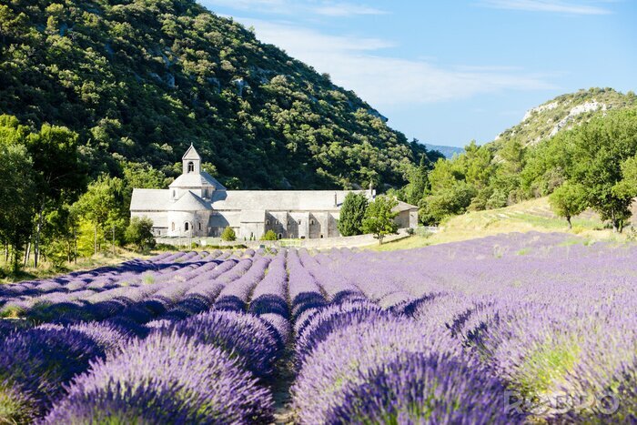 Fotobehang Klooster bergen en lavendel