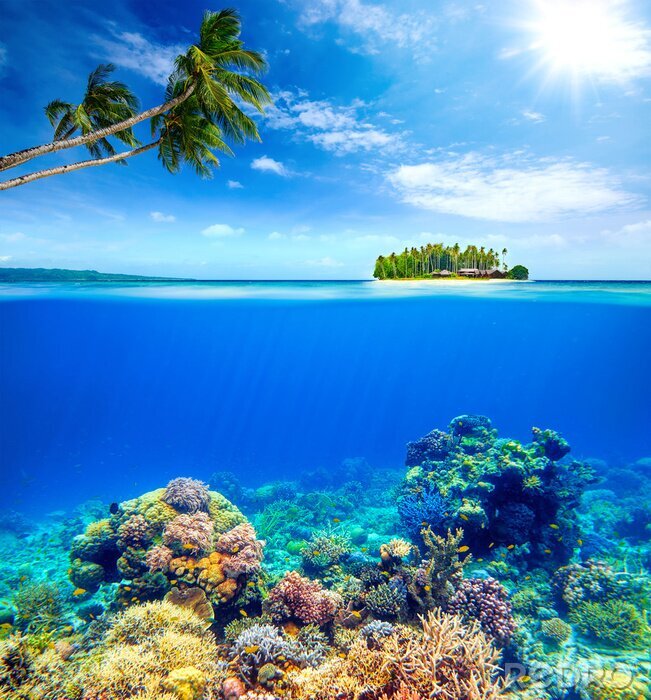 Fotobehang Koraalrif eiland en palmbomen