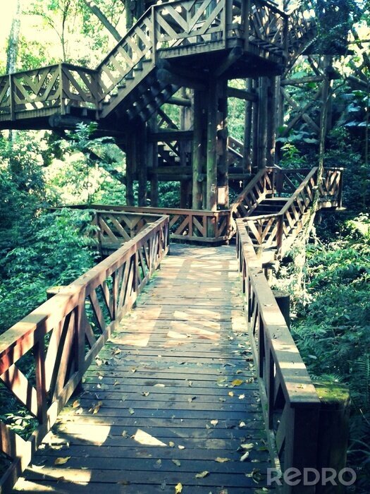 Fotobehang Kronkelende houten brug in het bos