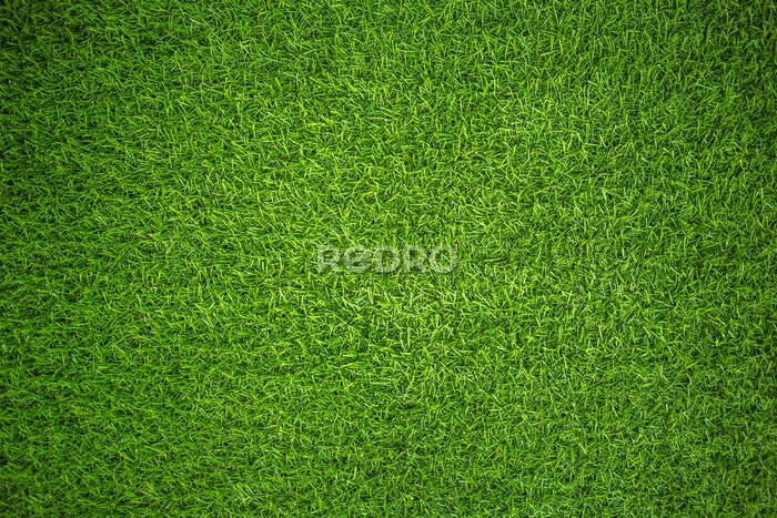 Fotobehang Kunstmatig groen gras